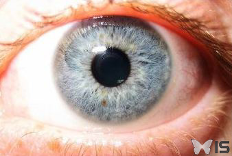 Oeil à iris bleu