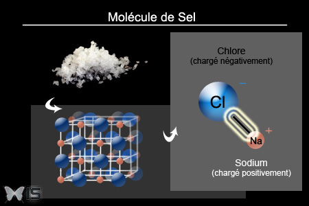 Les molécules de sel sont ioniques et forme un réseau cristallin