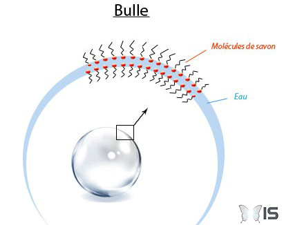 bulles-rondes