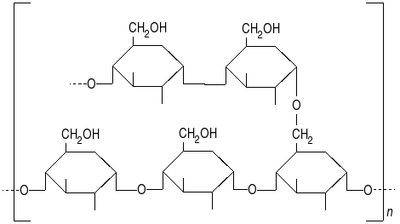 L'amidon est formé de différents polymères de glucose : ici, l'amylopectine
