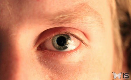 La pupille est un trou au travers duquel la lumière pénètre