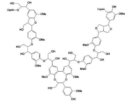 L'un des polymères possibles de la lignine, une molécules responsable du jaunissement du papier et de sa couleur brune initiale