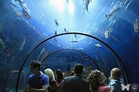 exp-aquarium-quebec
