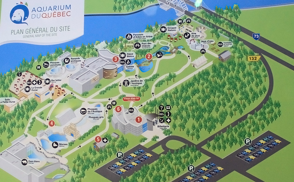 Les ours de l'Aquarium du Québec - Sépaq