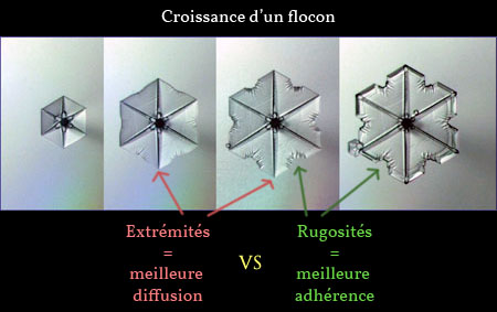 La formation d'un flocon est régie par une combinaison des vitesses de diffusion et d'adhérence