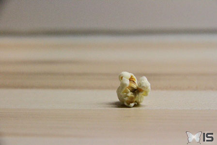 Un popcorn cuit posé sur une table