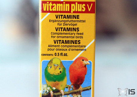 Complément vitaminé pour oiseaux