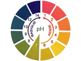 Le pH correspond au logarithme de la concentration de protons (-log[H+]) 